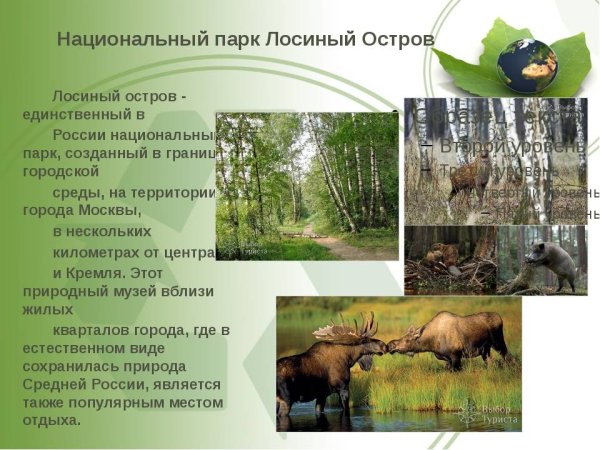 Проект национальные парки Лосиный остров