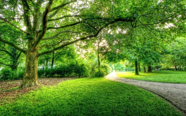 Природа парк