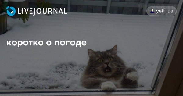 Коротко о погоде