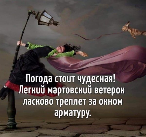 Лёгкий ветерок нежно треплет арматуру