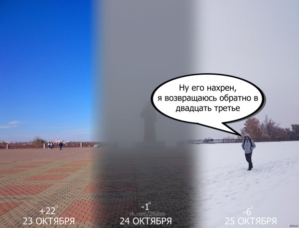 Прикольные фразы про сильный ветер