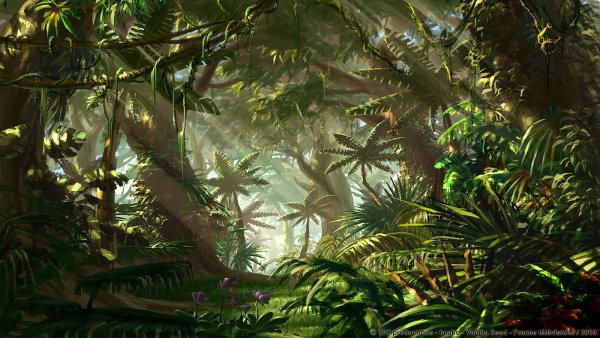 Джунгли Геншин