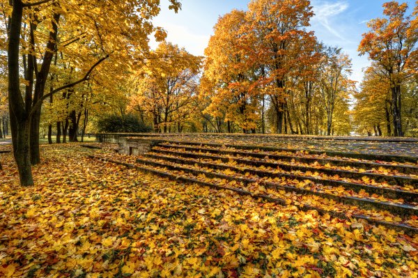 Парк Санкт-Петербург