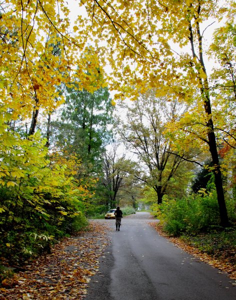 Ранняя осень