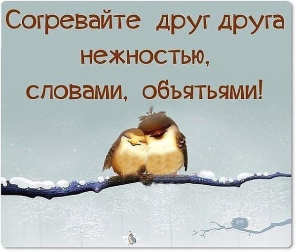 Согревайте друг друга