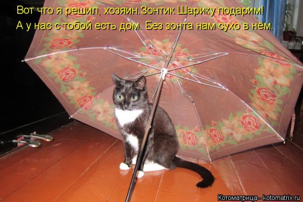 Когда пойдем гулять