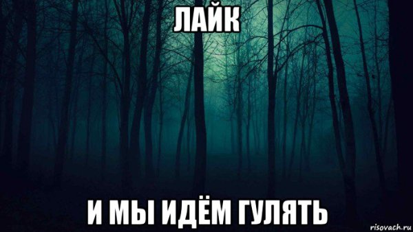 Идем гулять