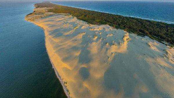 Куршская коса национальный парк