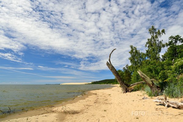 Куршская коса национальный парк