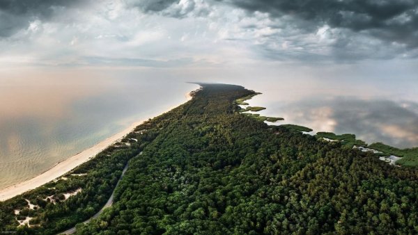 Нац парк Куршская коса