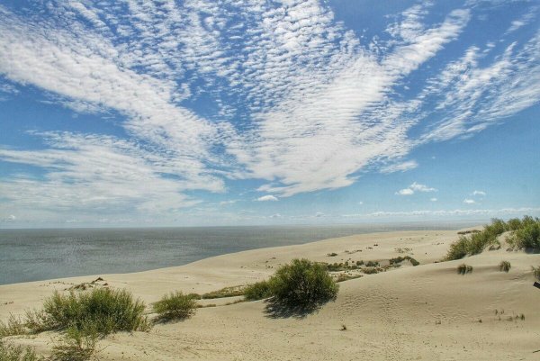 Куршская коса национальный парк