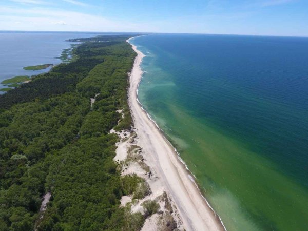 Мыс Восточный Куршская коса