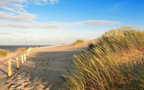 Куршская коса Литва