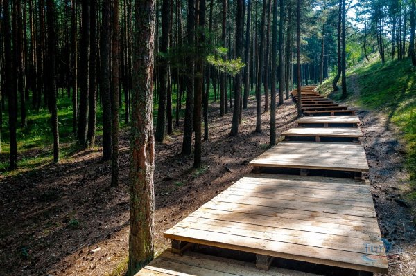 Куршская коса национальный парк