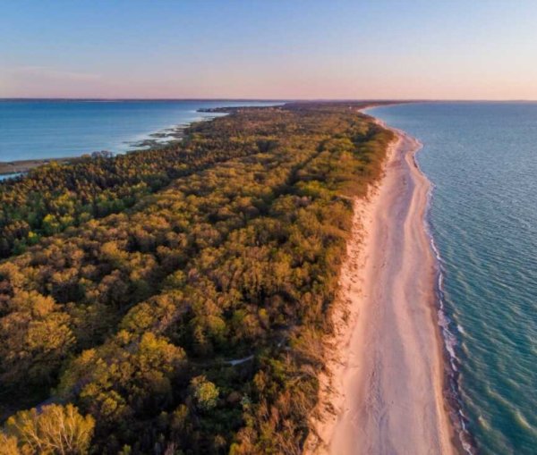 Куршская коса Калининградская область