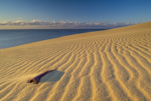 Высота Эфа Куршская коса