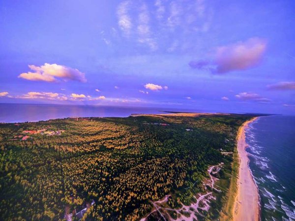 Куршская коса (национальный парк, Россия)