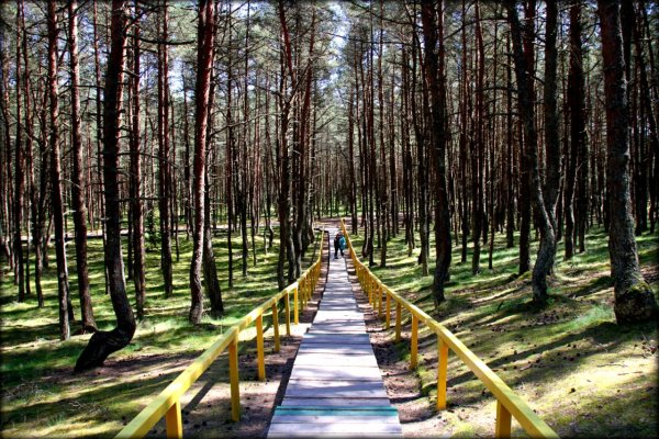 Национальный парк Калининград