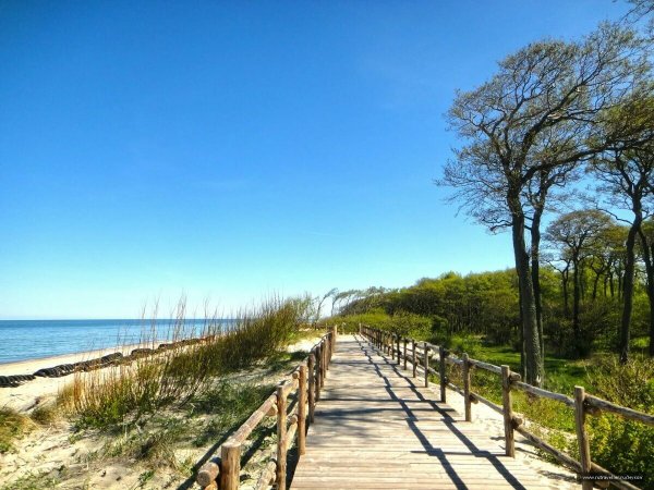 Национальный парк Куршская коса Калининградская область