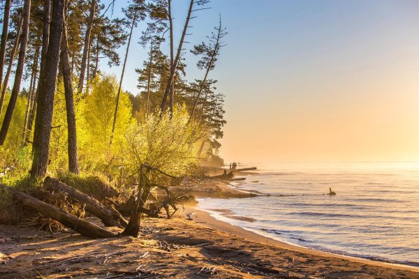 Национальный парк Куршской косы
