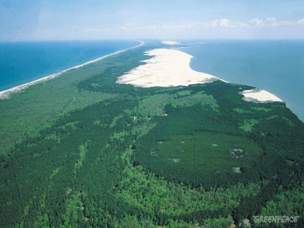 Куршская коса (национальный парк, Россия)