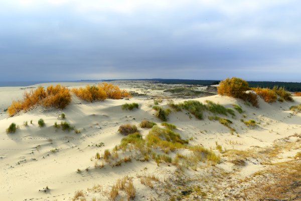 Куршская коса национальный парк дюны Эфа