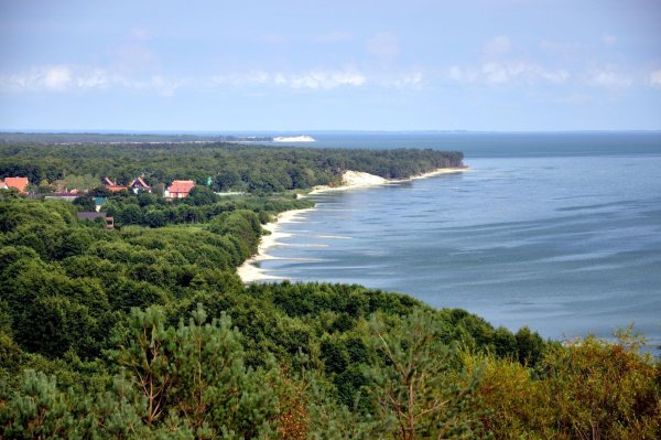 Парк Куршская коса Калининград