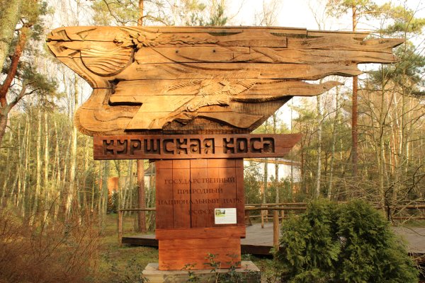 Заповедник Куршская коса в Калининграде