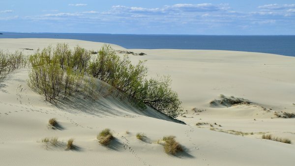 Национальный парк Куршская коса Калининград