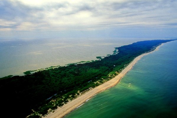 Национальный парк Куршская коса Калининград