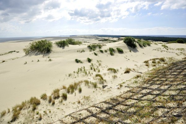 Куршская коса Пески и леса