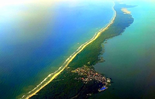 Куршская коса Калининград