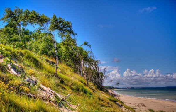 Куршская коса Калининград