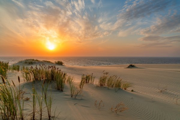 Куршская коса Калининград