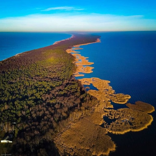 Куршская коса национальный парк