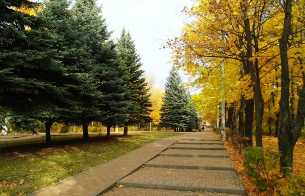 Парк КЗТЗ Курск