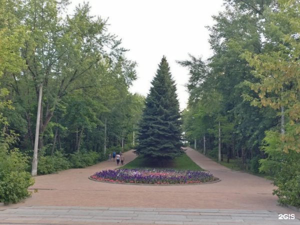 Курск лесопарки