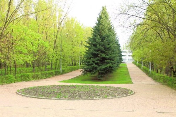 Парк КЗТЗ Курск