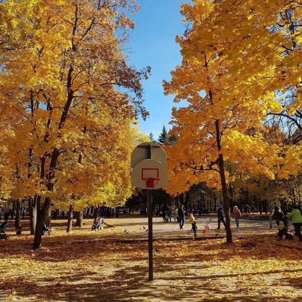 Парк Бородино Курск осень