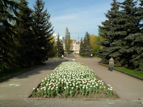 Пролетарский сквер Курск