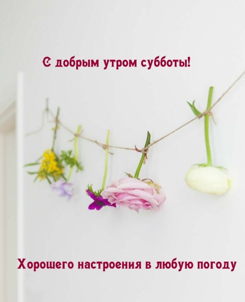 Доброе утро субботы пожелания