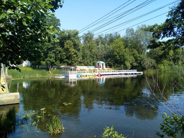 Курский парк Боева дача