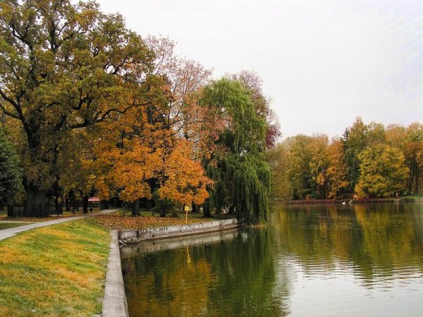 Курск Марьино усадьба осень