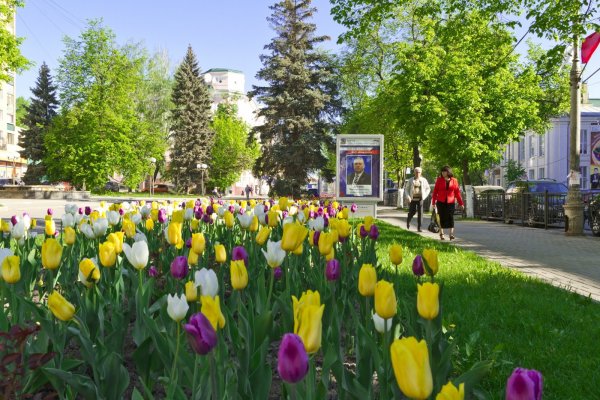 Цветущая Весна Курск