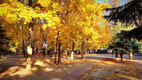 Фото осени детский парк Курск