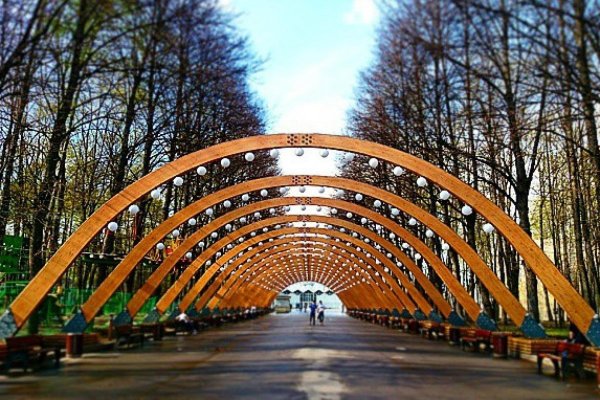 Парк Сокольники Москва