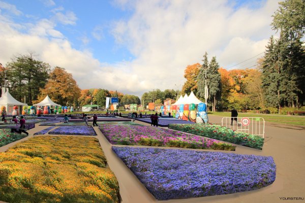 Сокольнический парк Москва