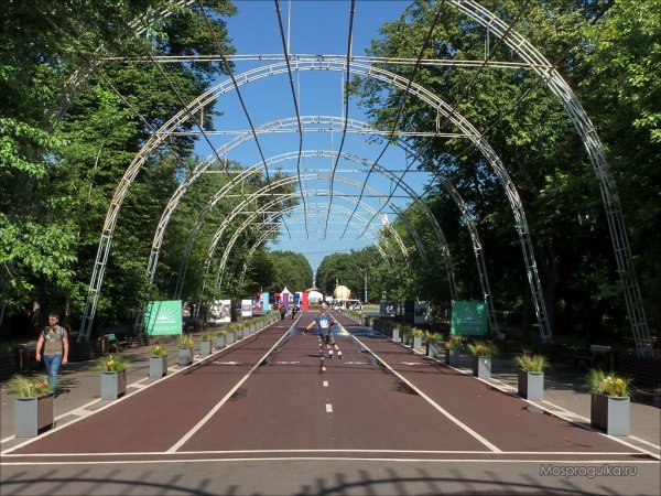 Парк Сокольники велодорожки