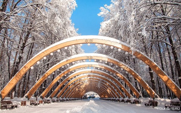 Парк Сокольники