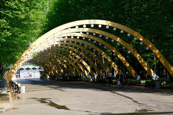 Парк Сокольники Центральная аллея